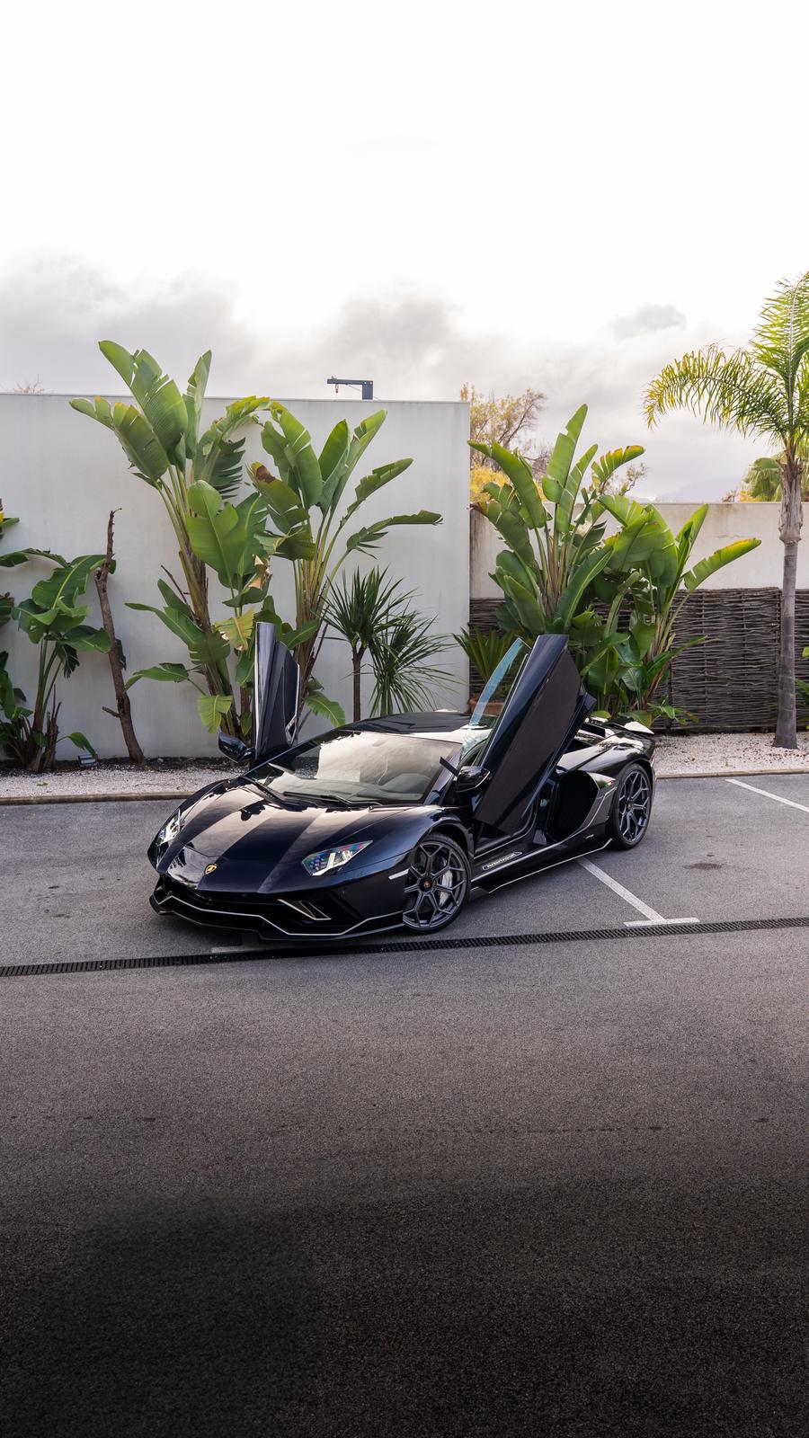 Lamborghini Aventador Ultimae – Protection intégrale près de Monaco.
